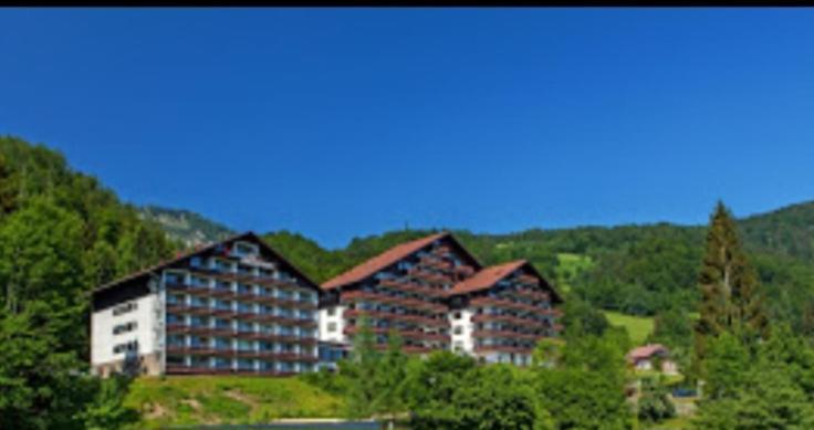 Dachstein Blick Apartment *